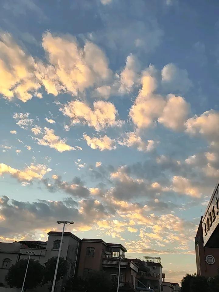 冬日生活打卡季