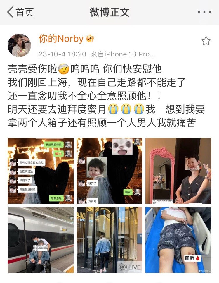 壳壳受伤了 坐朋友车子后面 因为太瘦 撞倒栏杆直接甩飞了 ​ ​​​