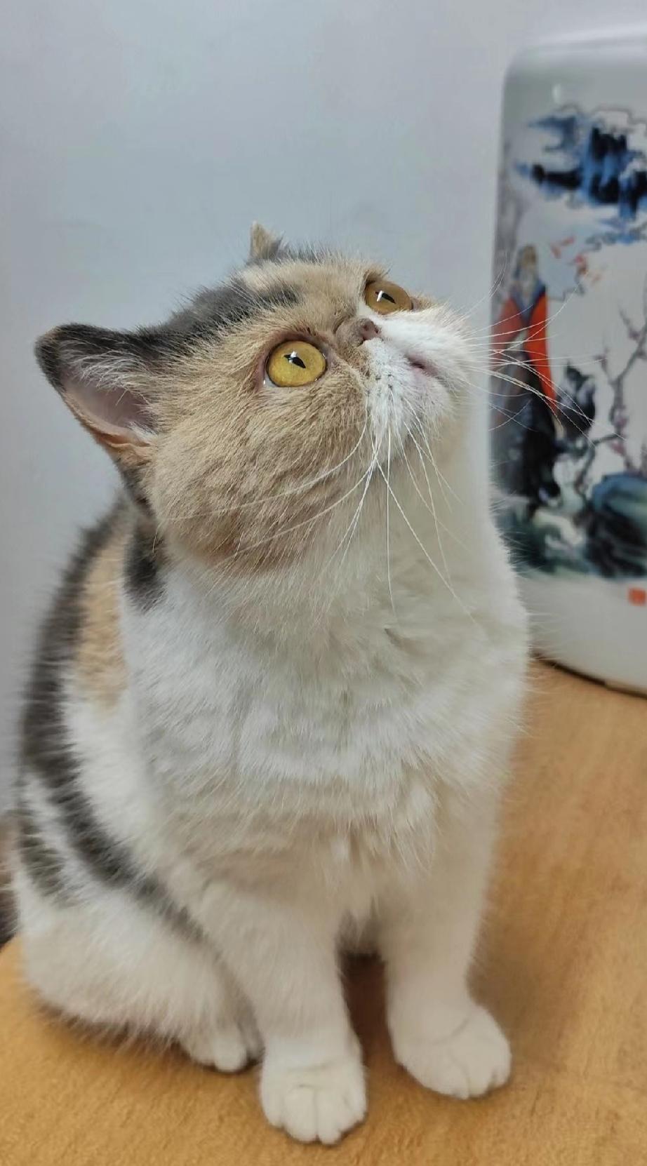 人不一定要往高处走，
你也可以往四处走！
人不能一直做正确的选择，
偶尔也要做一