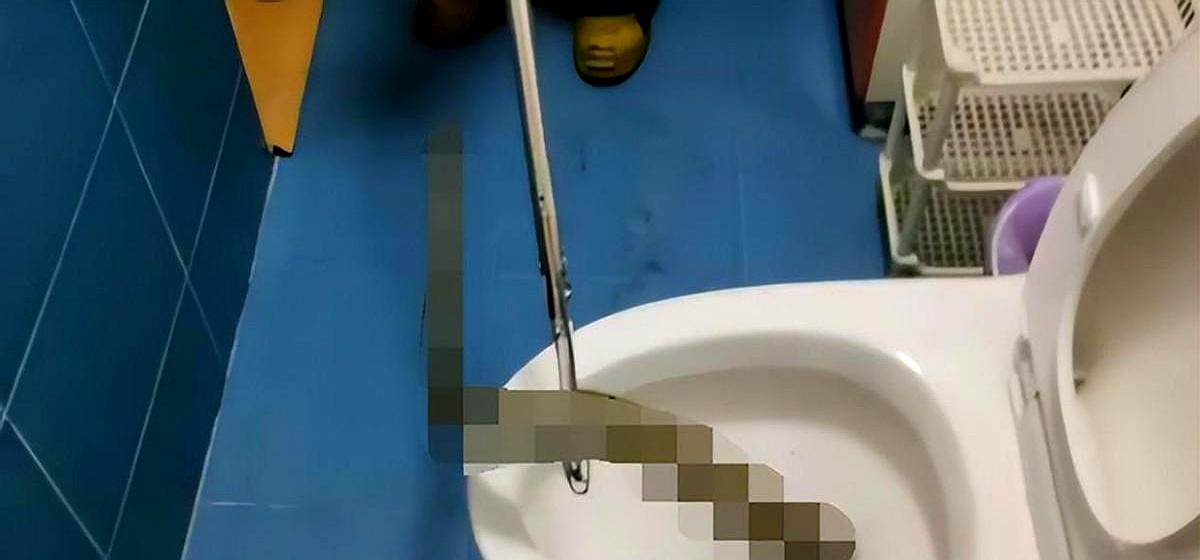 谁能想到上个厕所还能撞上这种“生化危机”现场啊。
商铺老板刚蹲下，蛇头就从蹲坑里