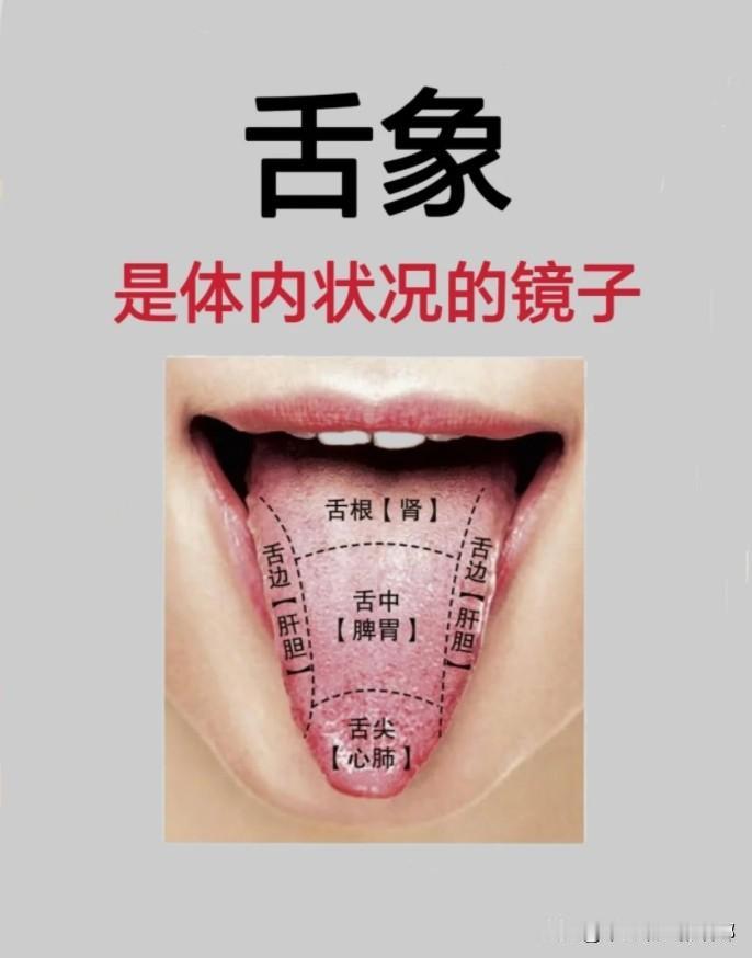 挑战一天看100个舌头

应粉丝要求帮大家看舌象

舌象是体内状况的镜子，有问题