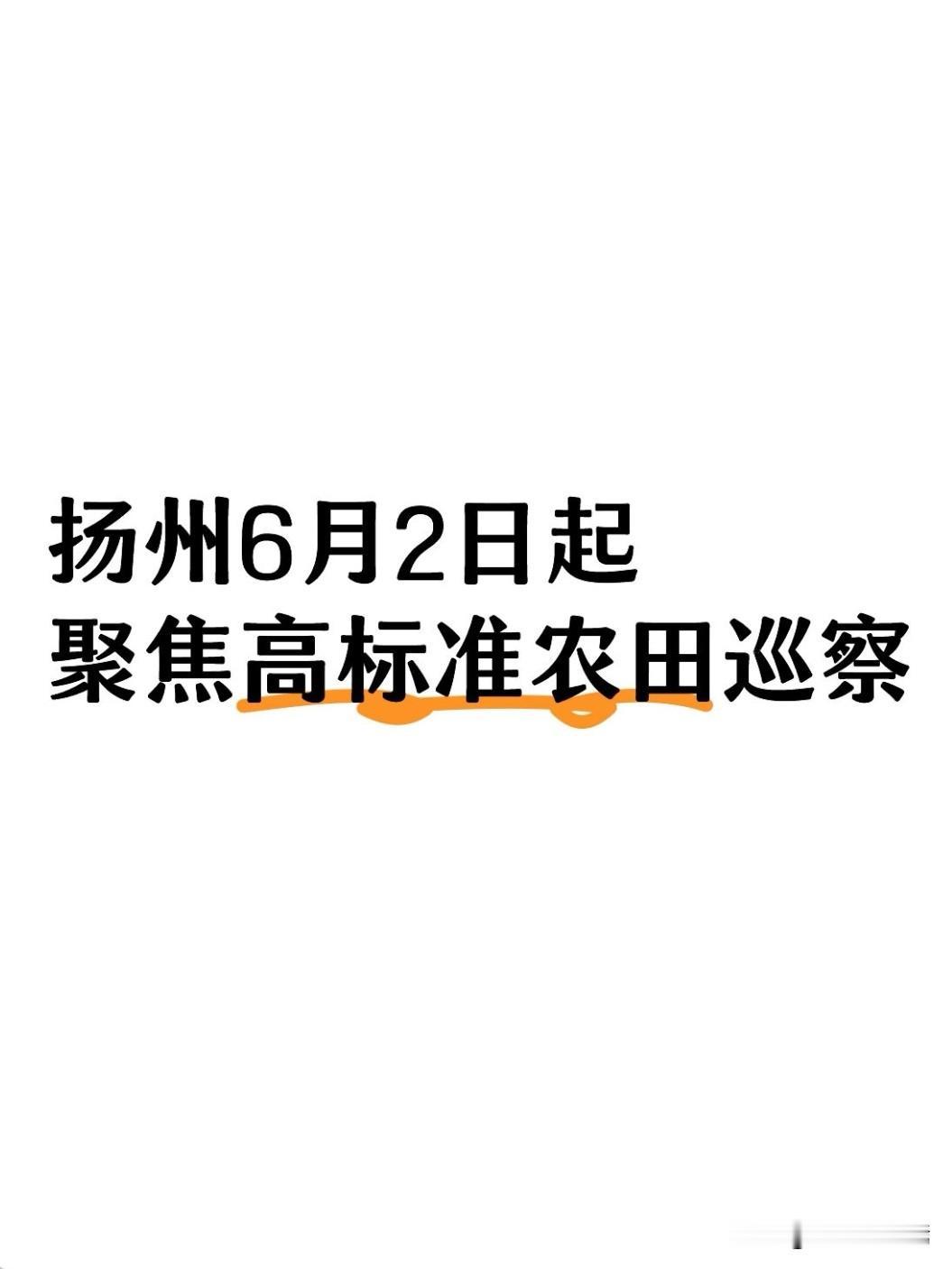 2026年6月2日，扬州市委第四巡察组正式启动高标准农田建设领域专项巡察，为期近