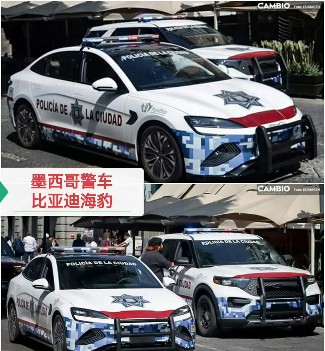 兄弟们！刚刷完《惊蛰无声》，比亚迪这波真的给我看爽了！在剧中，比亚迪直接成了国安