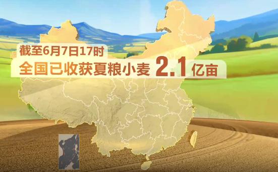 就在6月7日17时，农业农村部一组数据让国际市场抖了一下——全国已收获夏粮小麦2