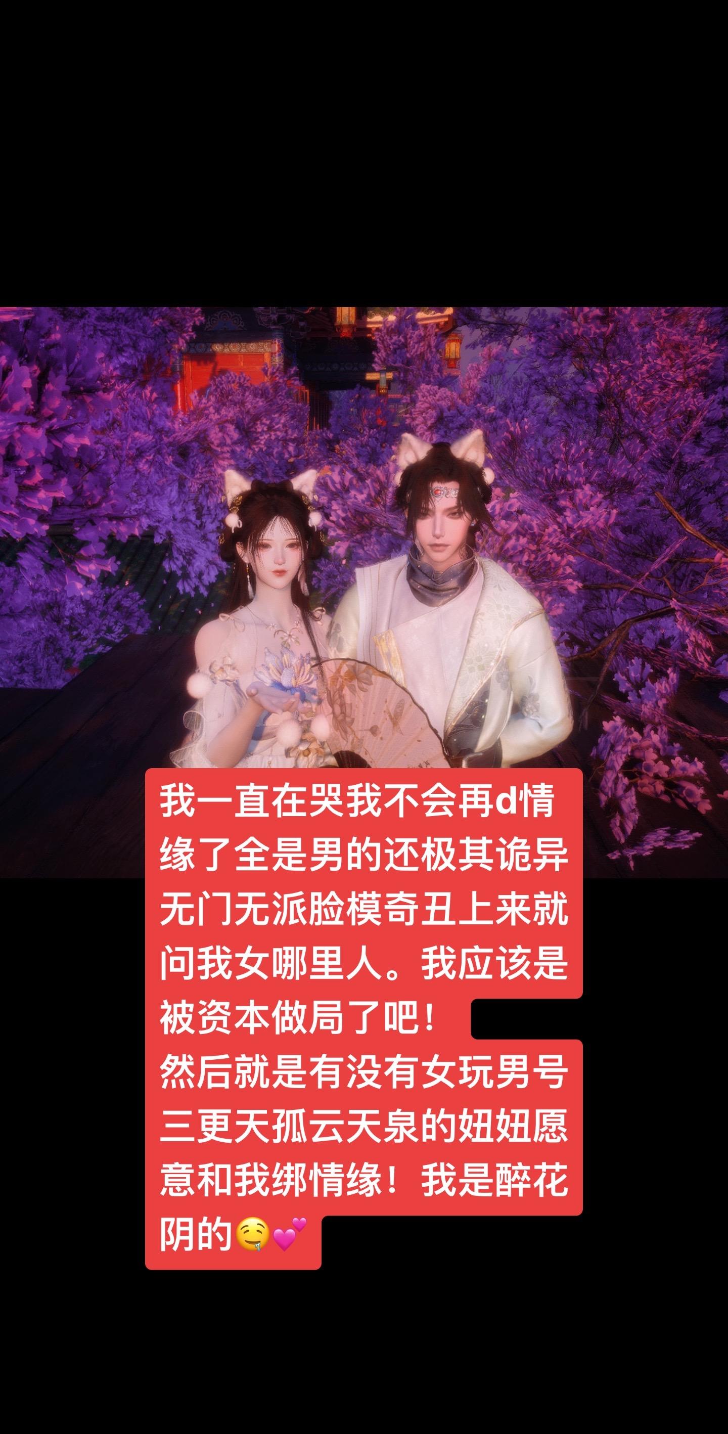 燕云十六声 侠缘 情缘 有大房