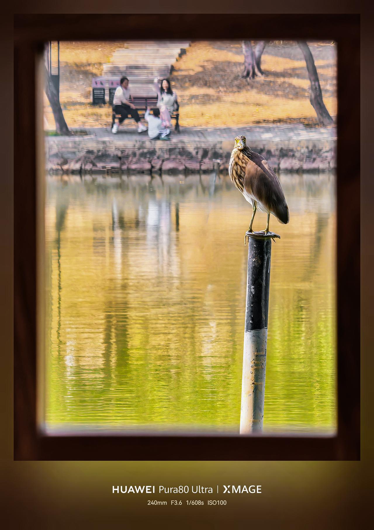 华为Pura80 Ultra的镜头就像一位会读心的生活诗人——当它对准湖面时，远