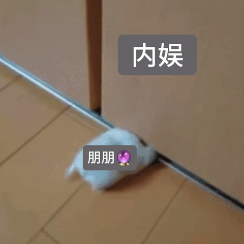 让我们恭喜这个纸鱼正式闯进内娱 