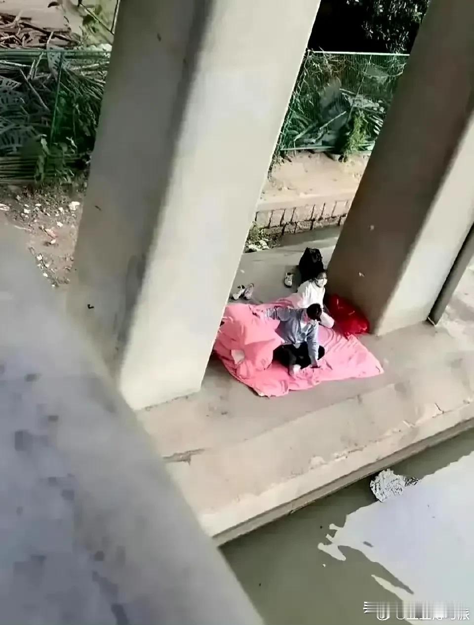 正视差距不足
争取更大进步