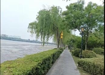 〔风景这边独好〕
图中画面真的美；
有树有水有小路；
空气质量杠杠的；
晨练真是