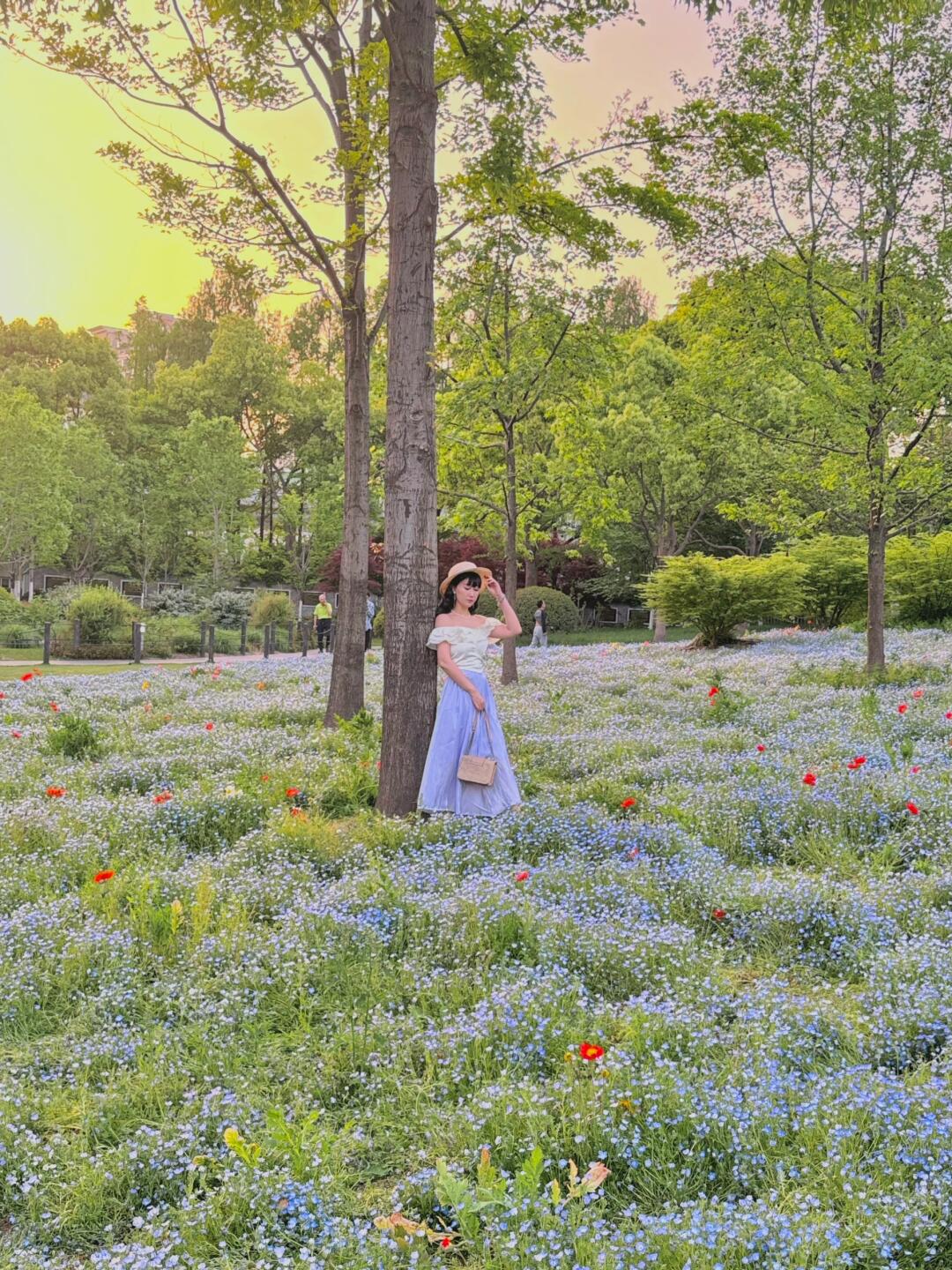 春日🌸晚霞🌅