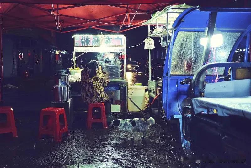 我哥们认识个刚离婚的少妇，她的婚姻栽在了丈夫的网赌上——丈夫输得一塌糊涂，日子实