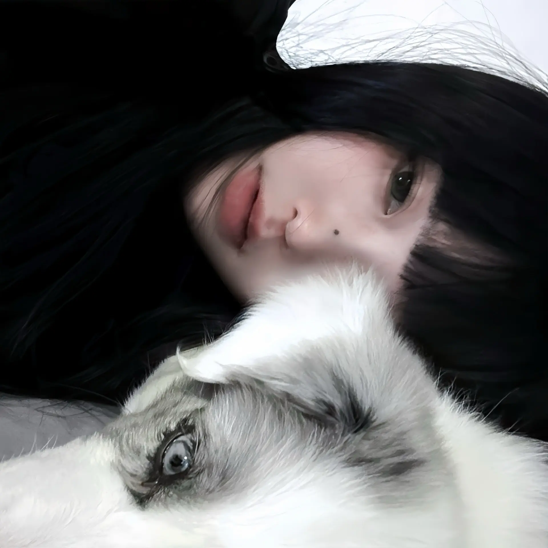 暗淡无光日子里的陪伴