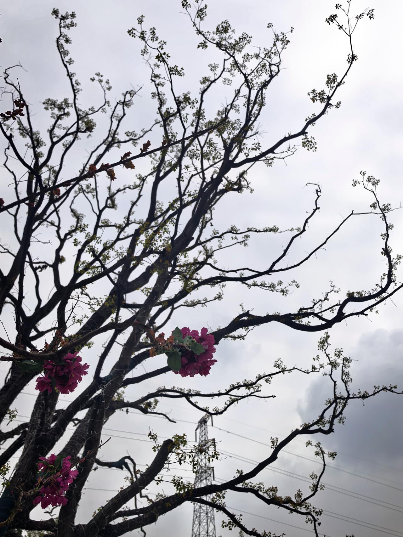 我真是佩服那些炒股的人。上交所、深交所两市几千只股票，简直是大海捞针，股友们是怎