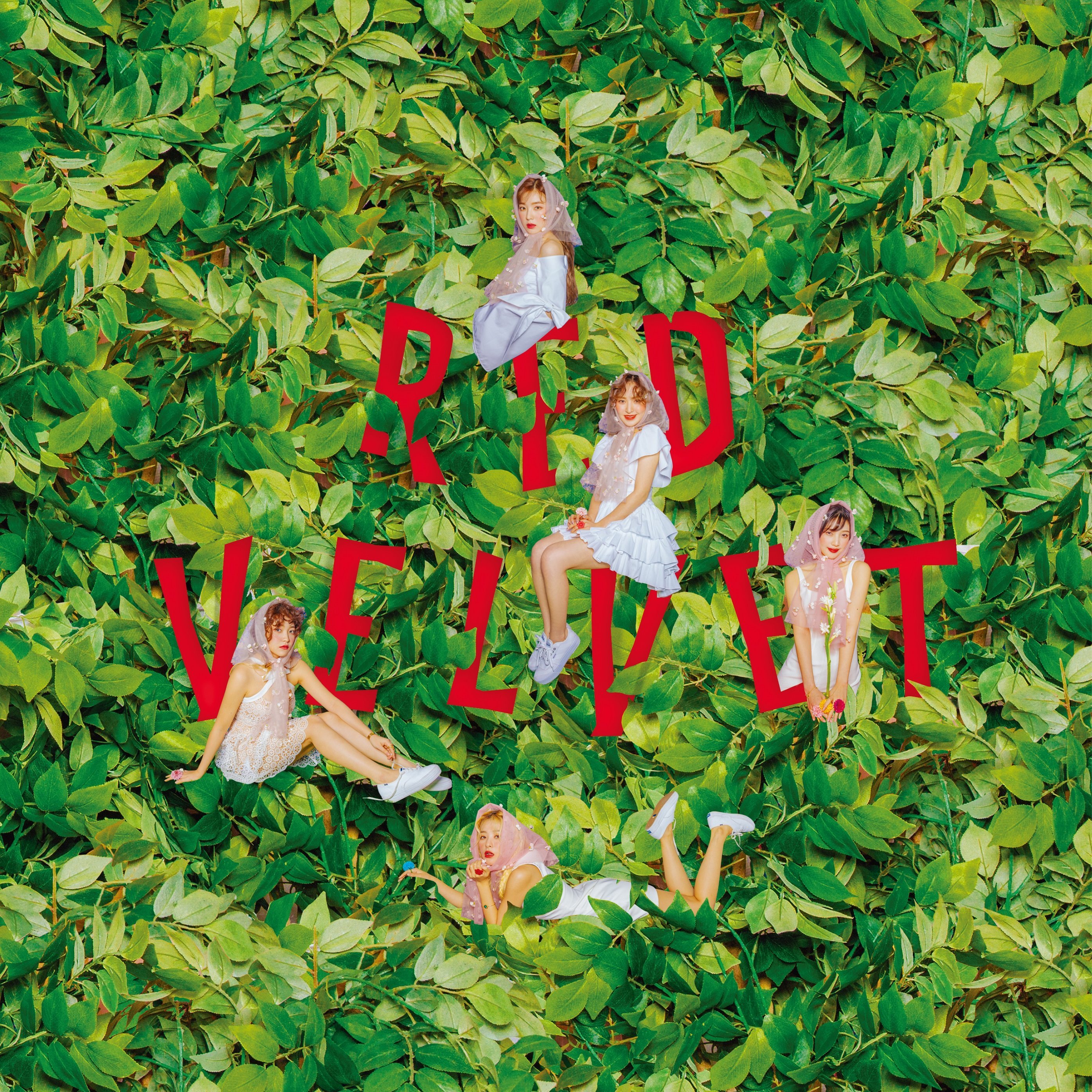 RedVelvet| 日专 Sappy 概念图🌸裴珠泫irene姜涩琪seul