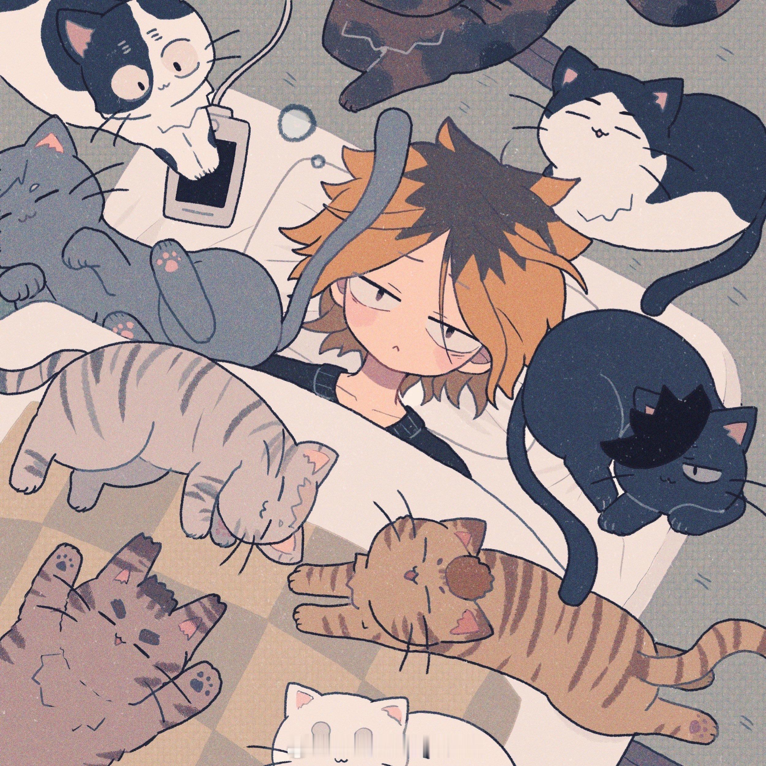 排球少年  猫猫部落 