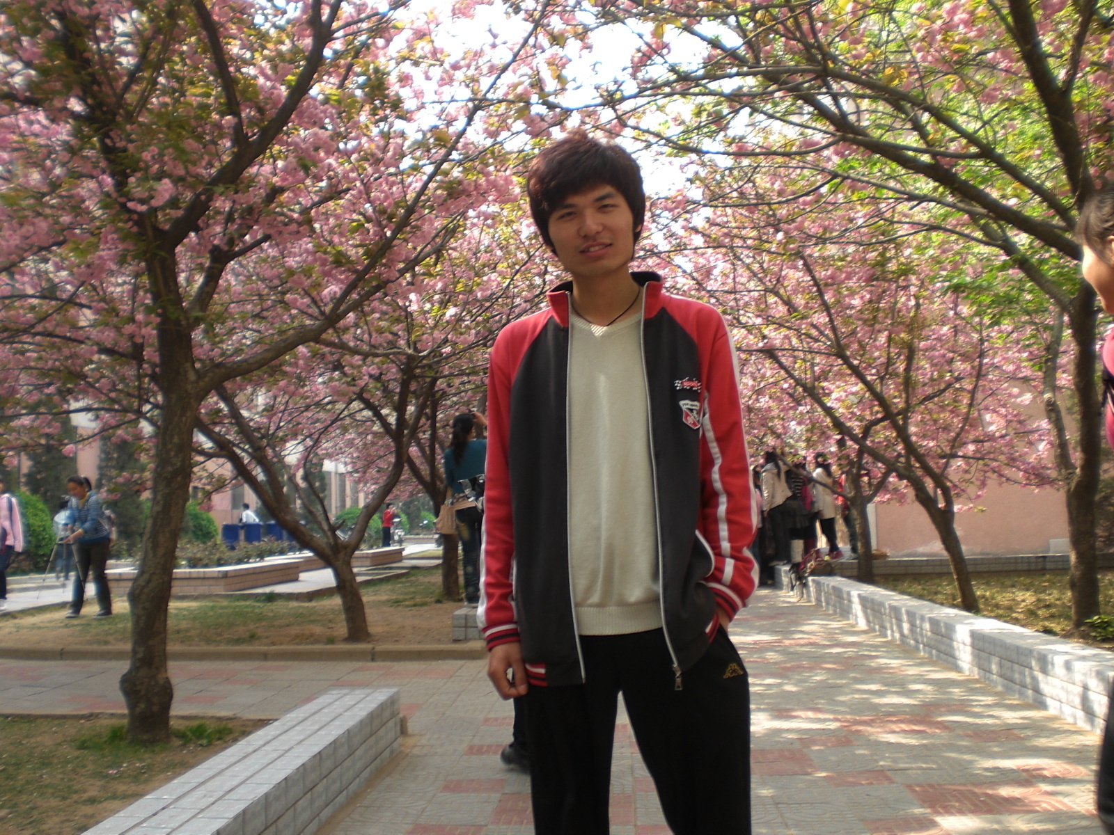 想带孩子去母校看看樱花，又怕现在学校管的严，不让我这个中年人进去没面子。 