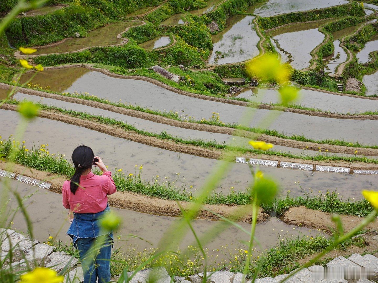 在梯田的怀抱中，感受大自然的浪漫与温柔。 ​​​
