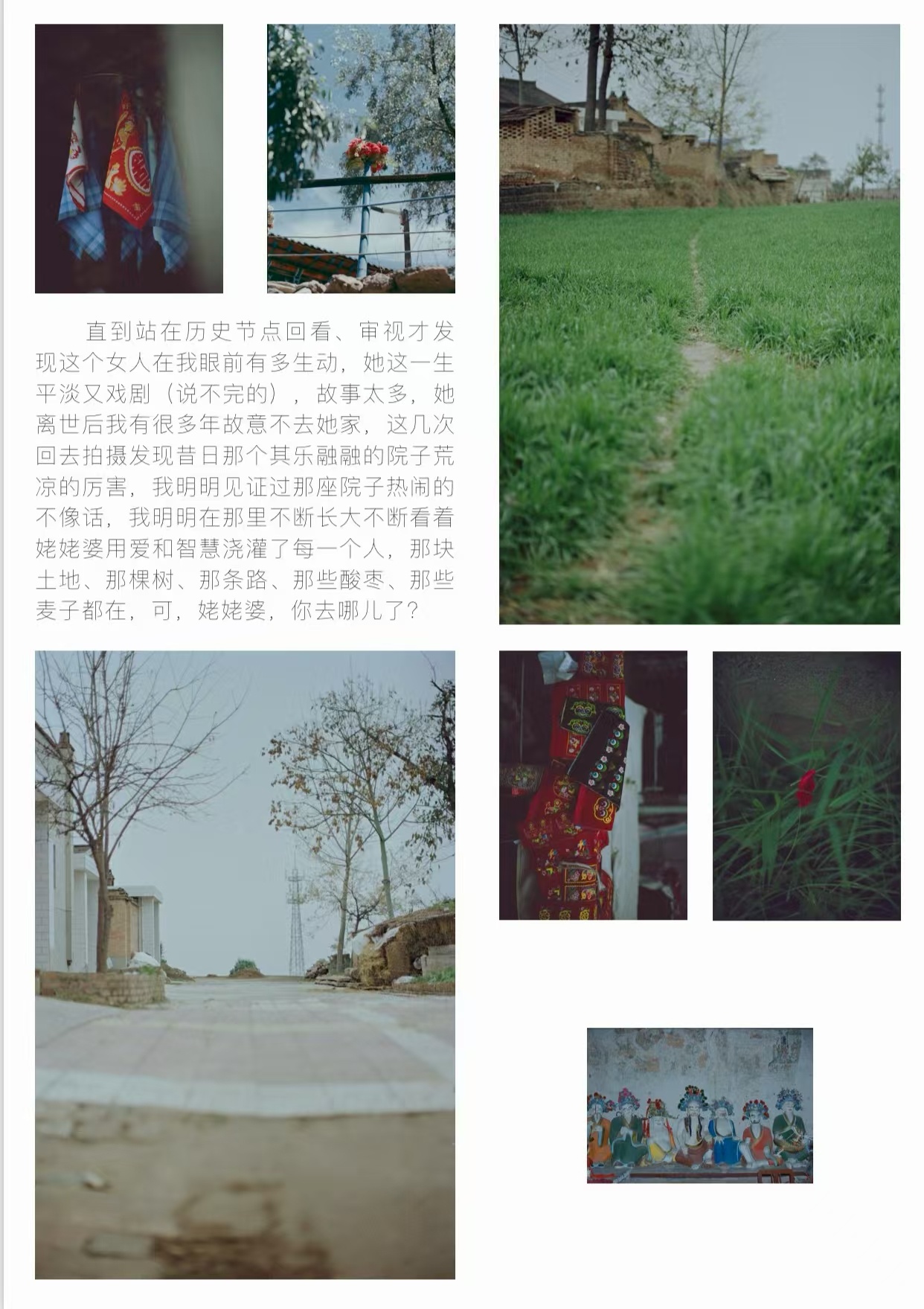 早上千豆分享了她的生命样本，她拍摄的那些小时候生长的地方，还有慢慢老去的家人，猫