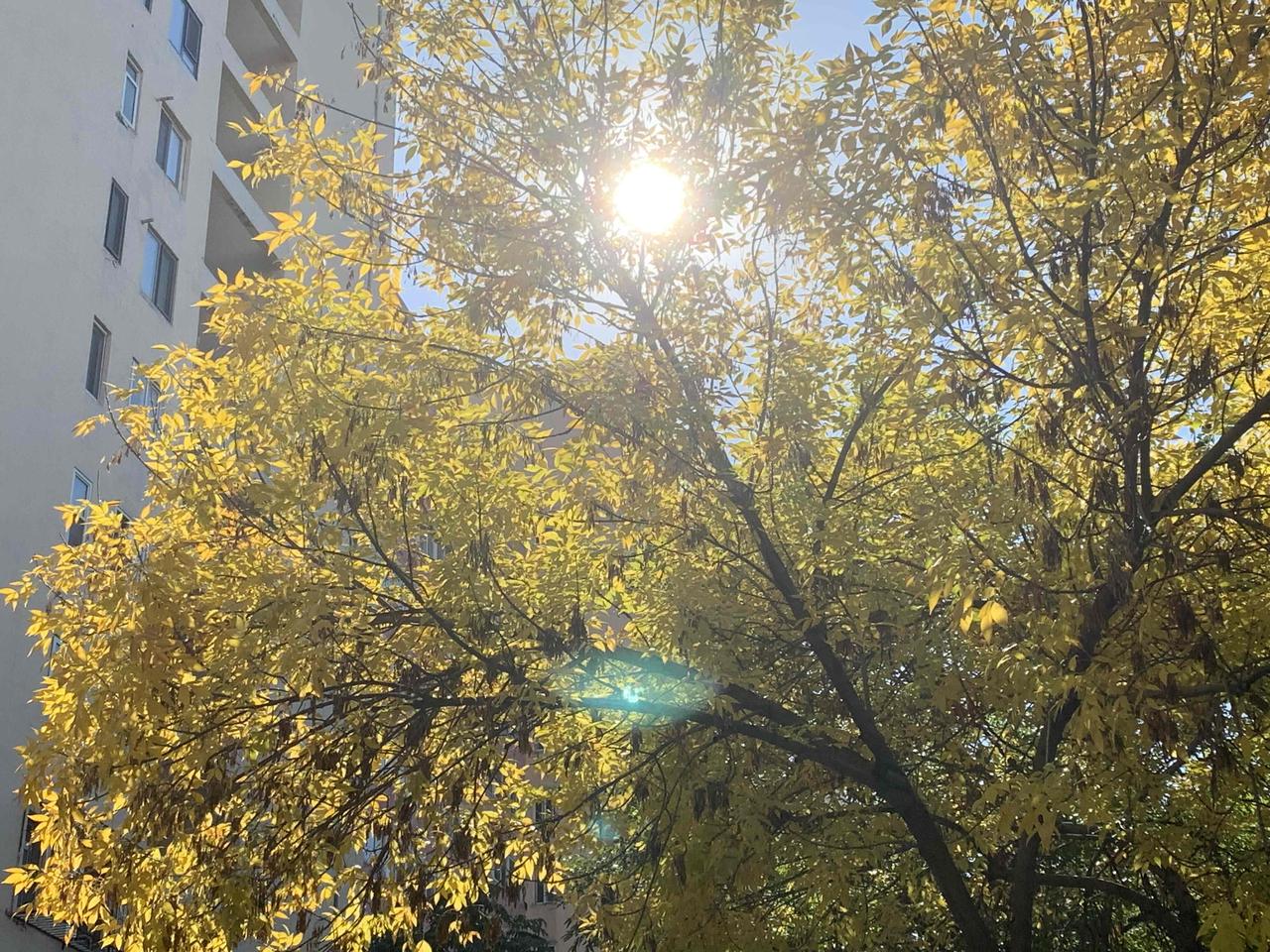 别让昨天绑架今天：3招斩断过去枷锁

你是否也总被过去绊住脚？那些委屈、不甘、遗