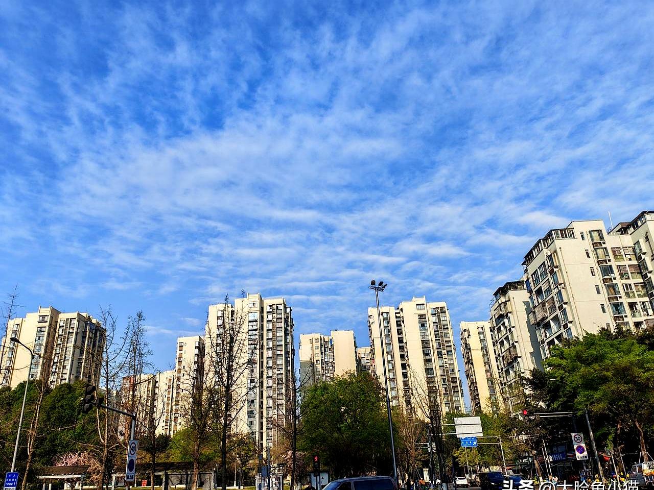 你们那儿有谁换季换早了被天气“背刺”的吗？
成都这回真是玩了个大的！
过年那阵子