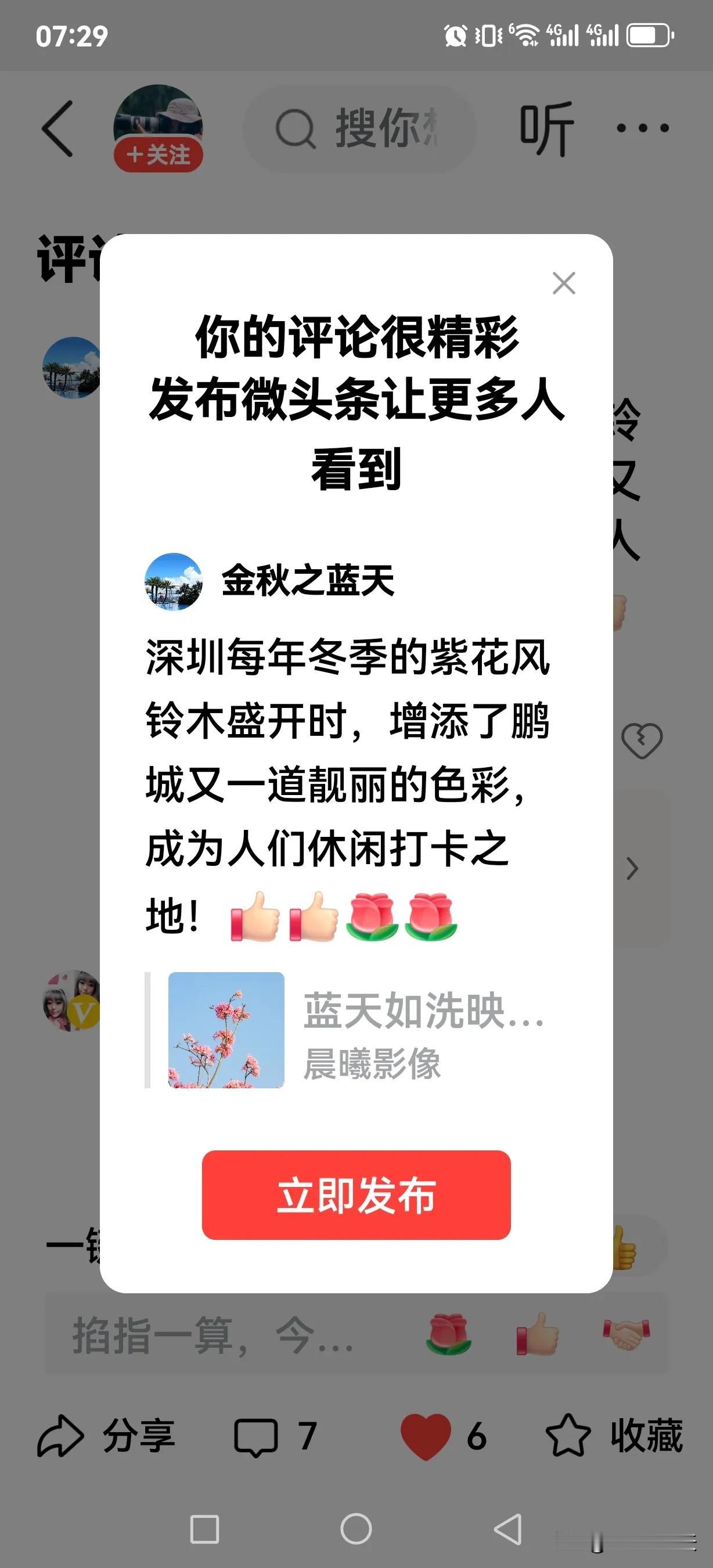 深圳每年冬季的紫花风铃木盛开时，增添了鹏城又一道靓丽的色彩，成为人们休闲打卡之地