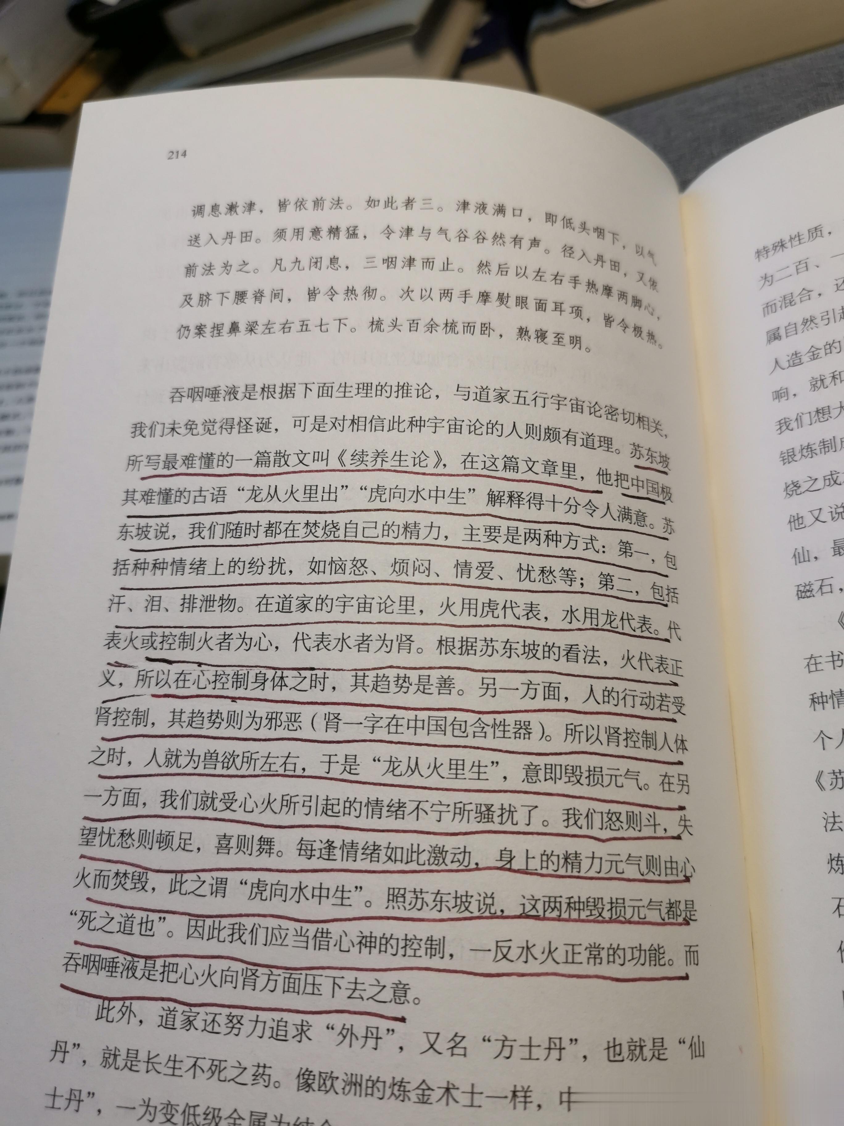 苏东坡所写最难懂的一篇散文《续养生论》，在这篇文章里，他把中国及其难懂的古语“龙