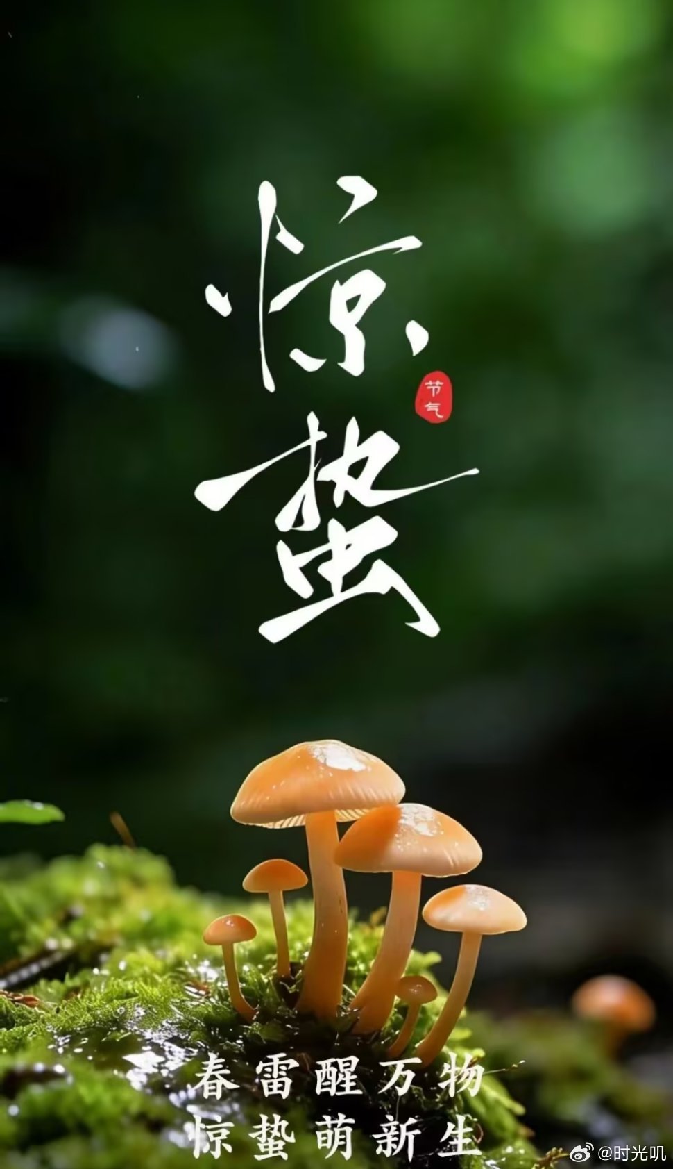 3月5日迎来惊蛰节气。此时节气温回暖，雨水增多，一些地方春雷初动。生物受节律变化