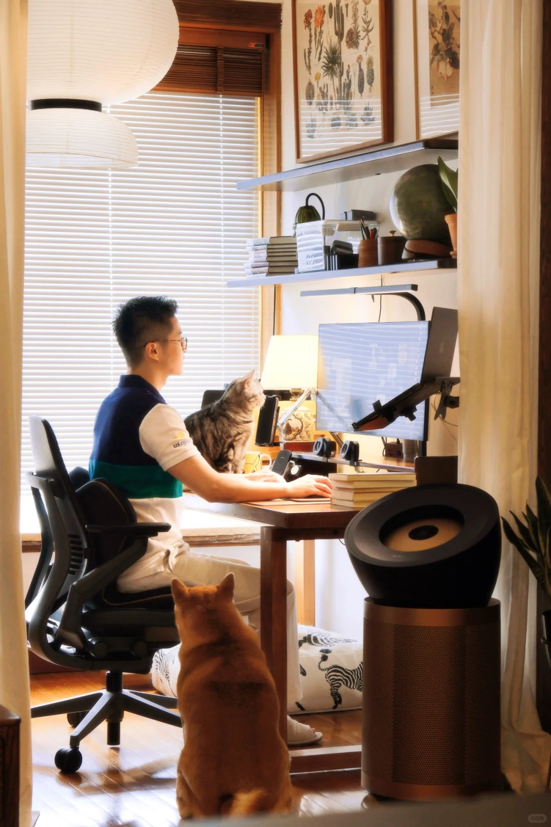 我居然是最稀少的INFJ提倡者型人格🔥