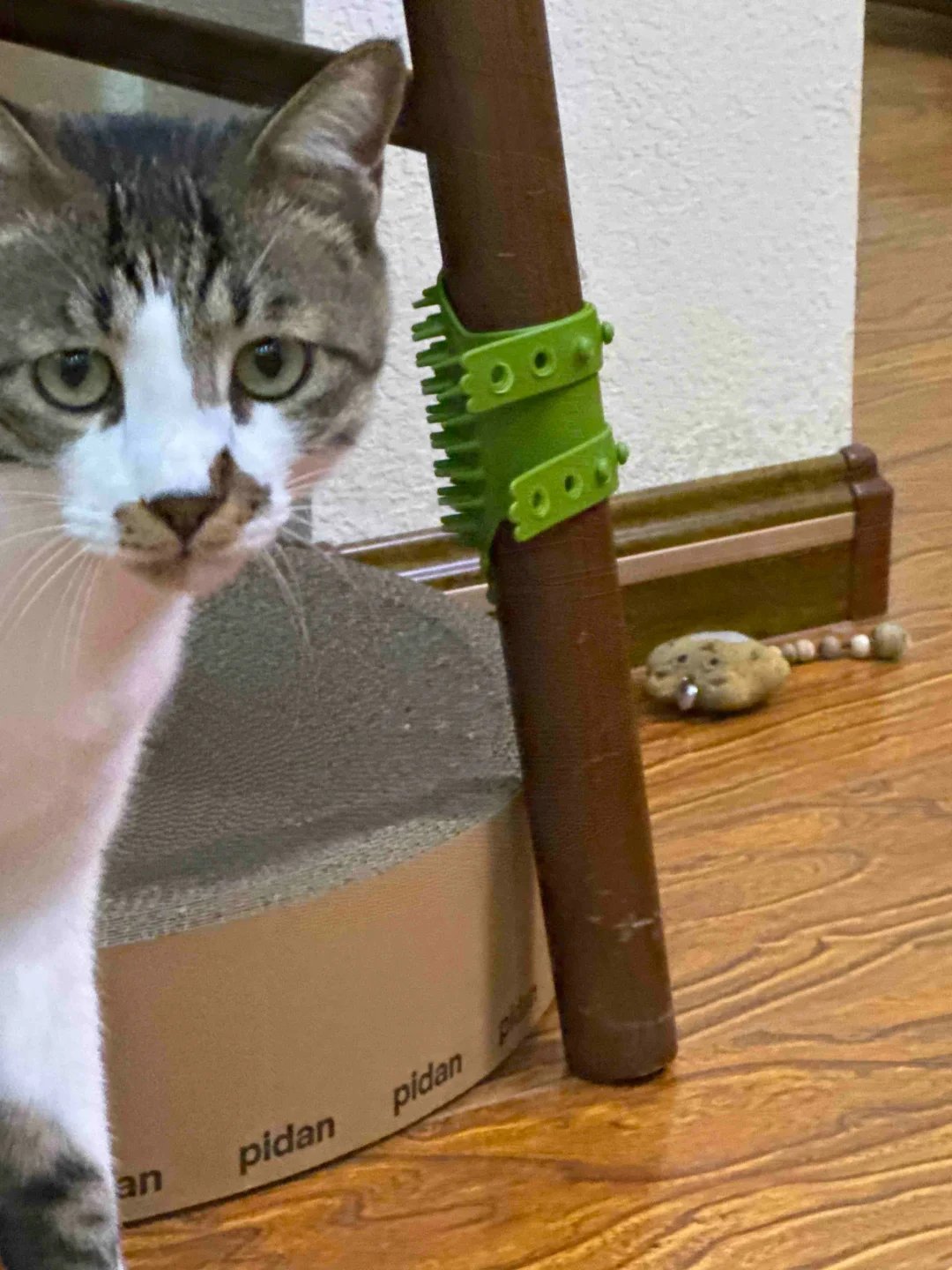 签到签到签到好困啊我先睡了，晚安           