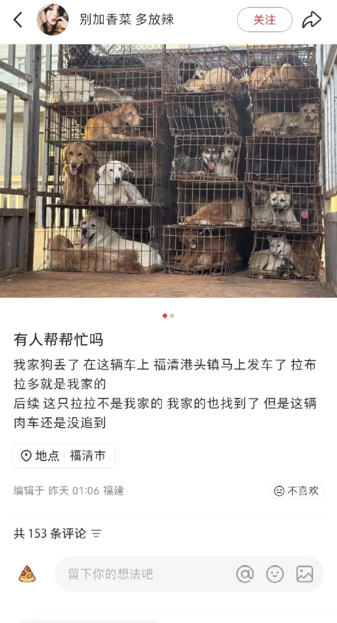 如果这里有动物保护法……