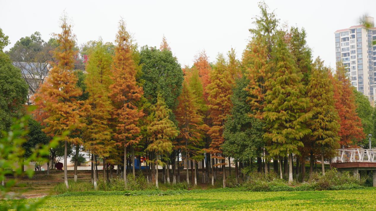 读《近思录》之2.85　

上达反天理，下达徇人欲者欤？

解读

《论语·宪问