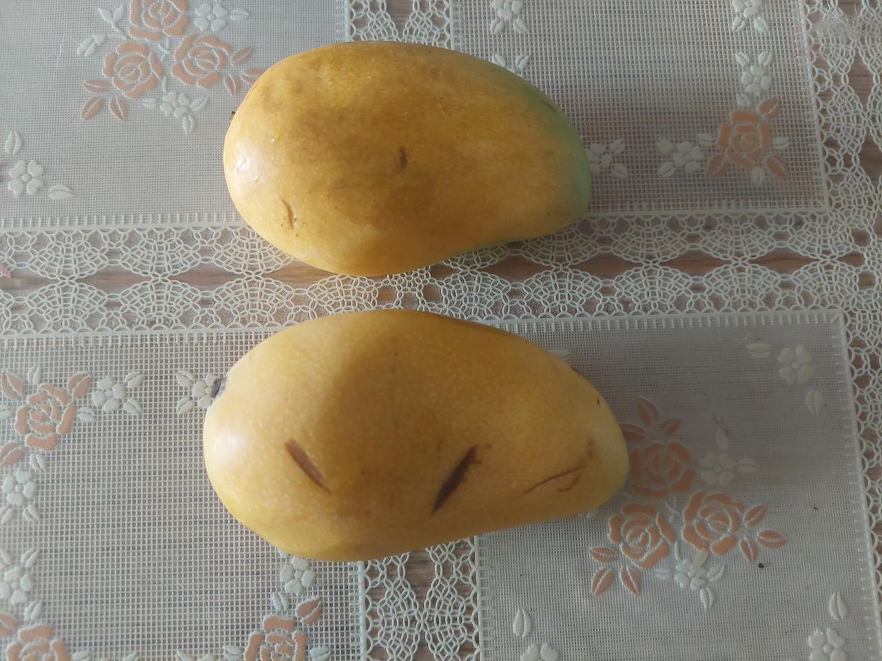 芒果何辜呢？

这两天 G 哥对芒果失去了兴致，就是因为我不小心，芒果核让狗子吃