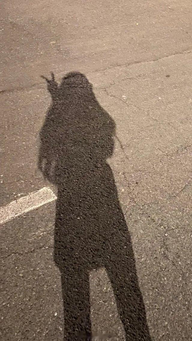 台风红霞，现在是狂风呼啸，抓一个胖帅哥陪我熬夜，就你了不许跑，不然风吹跑了