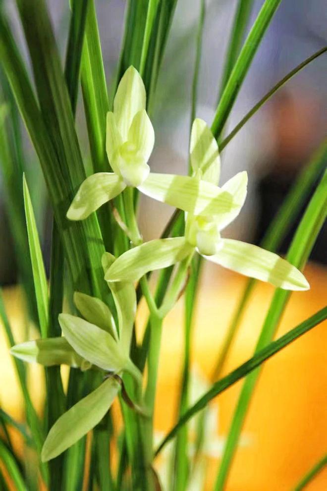 下联：情义难休恨难休。