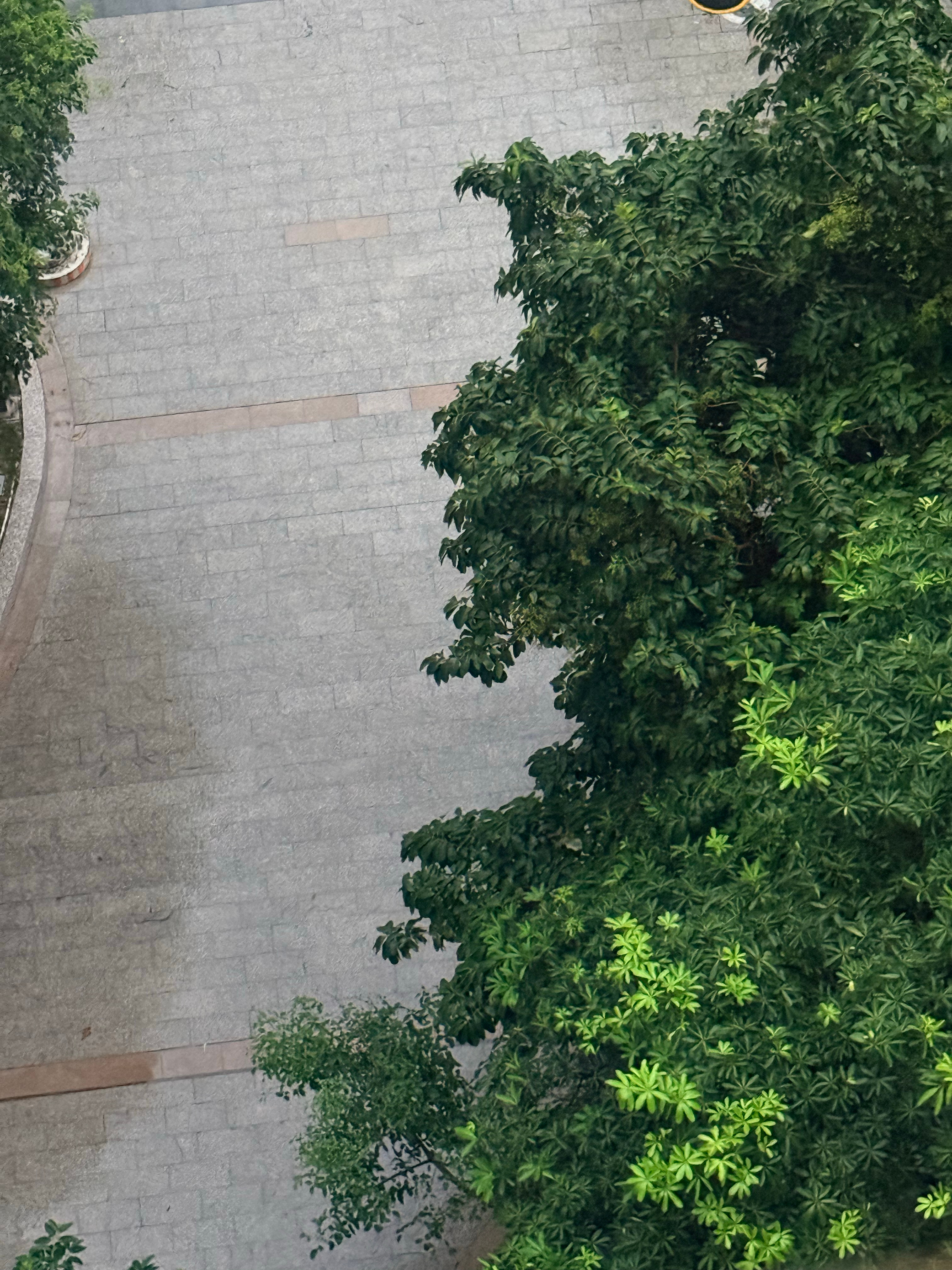 下雨了。降温了。舒服。 