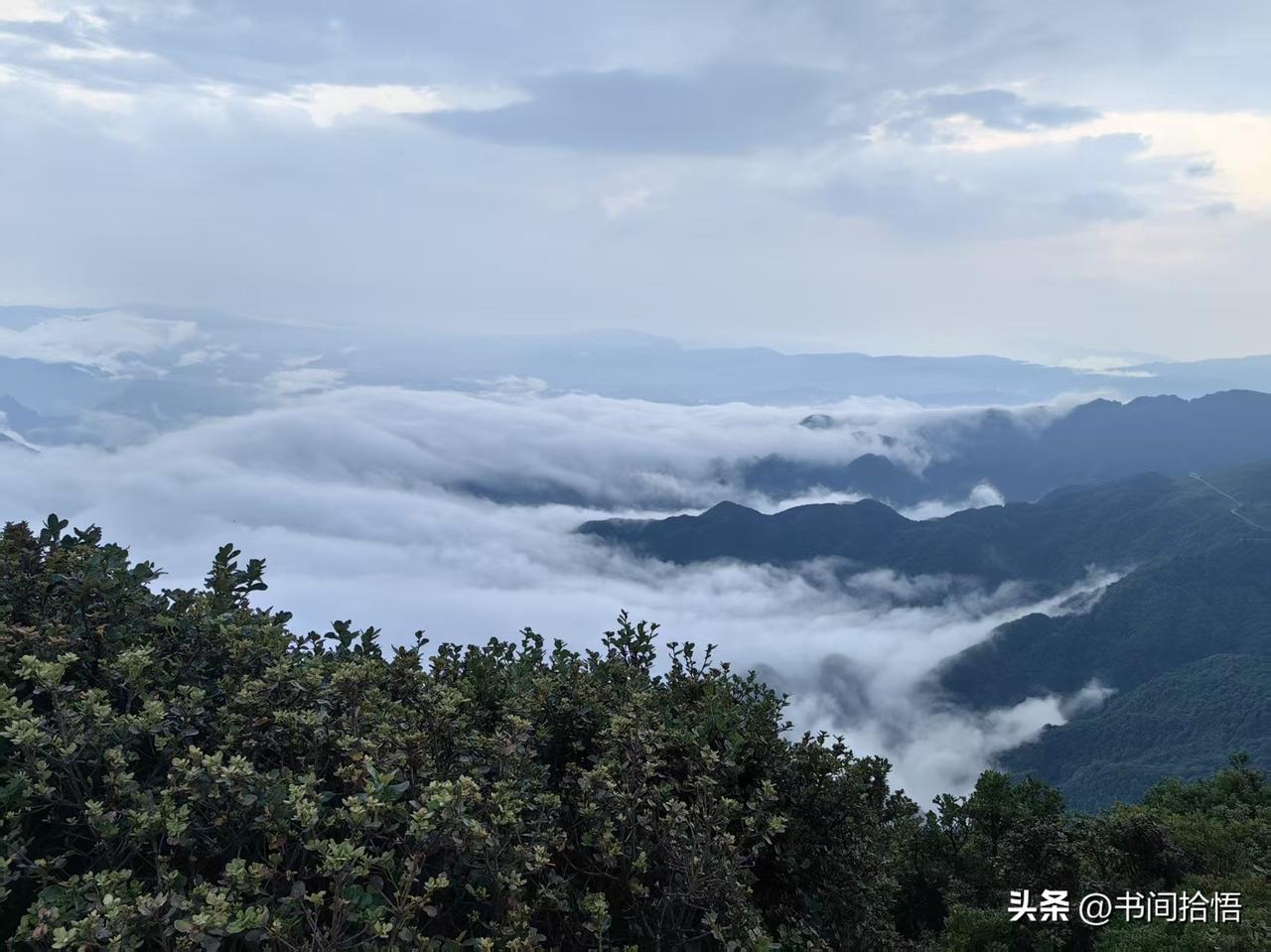 心理专家说：“性欲得不到释放，生理需求得不到满足，是两性关系崩塌的内核。夫妻也好