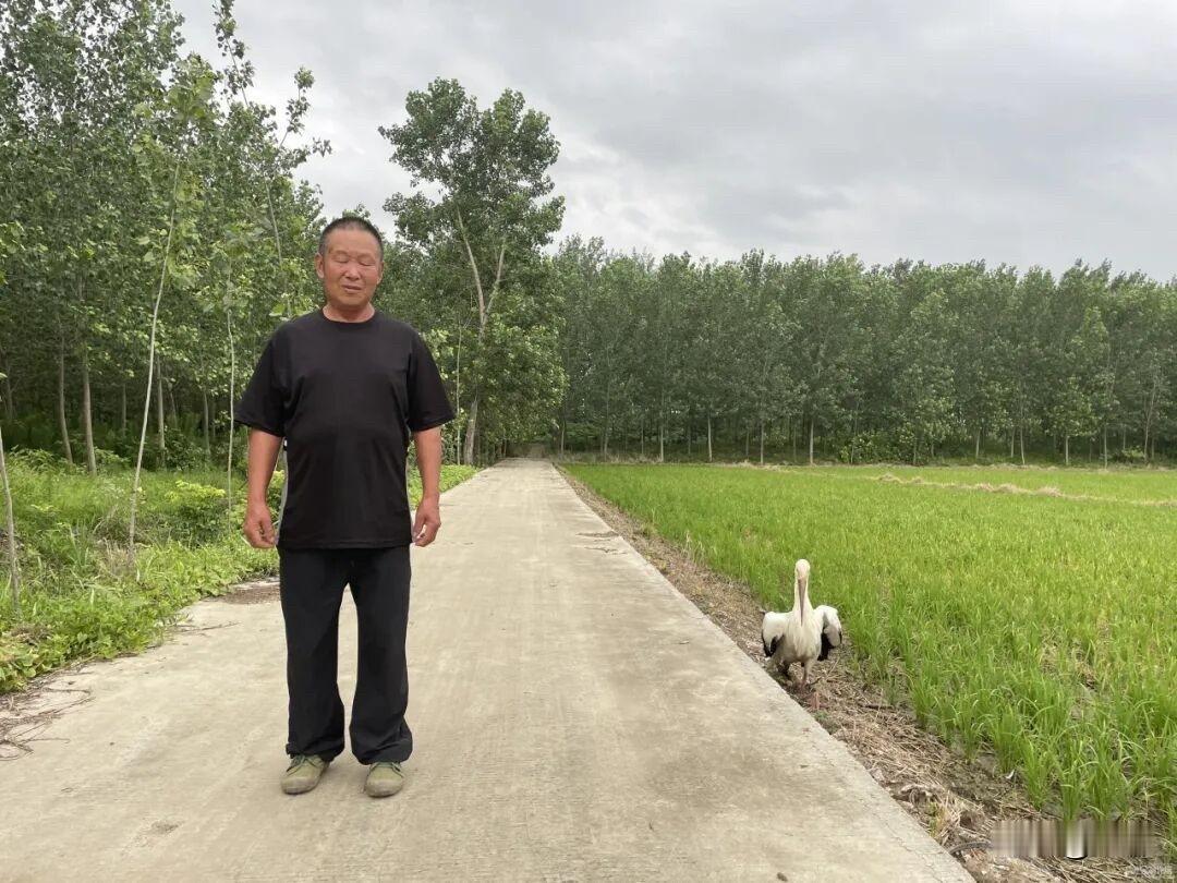 台风“巴威”来临前对它的救护！

下午5点18分，接到陈洪大哥的电话：你赶紧过来