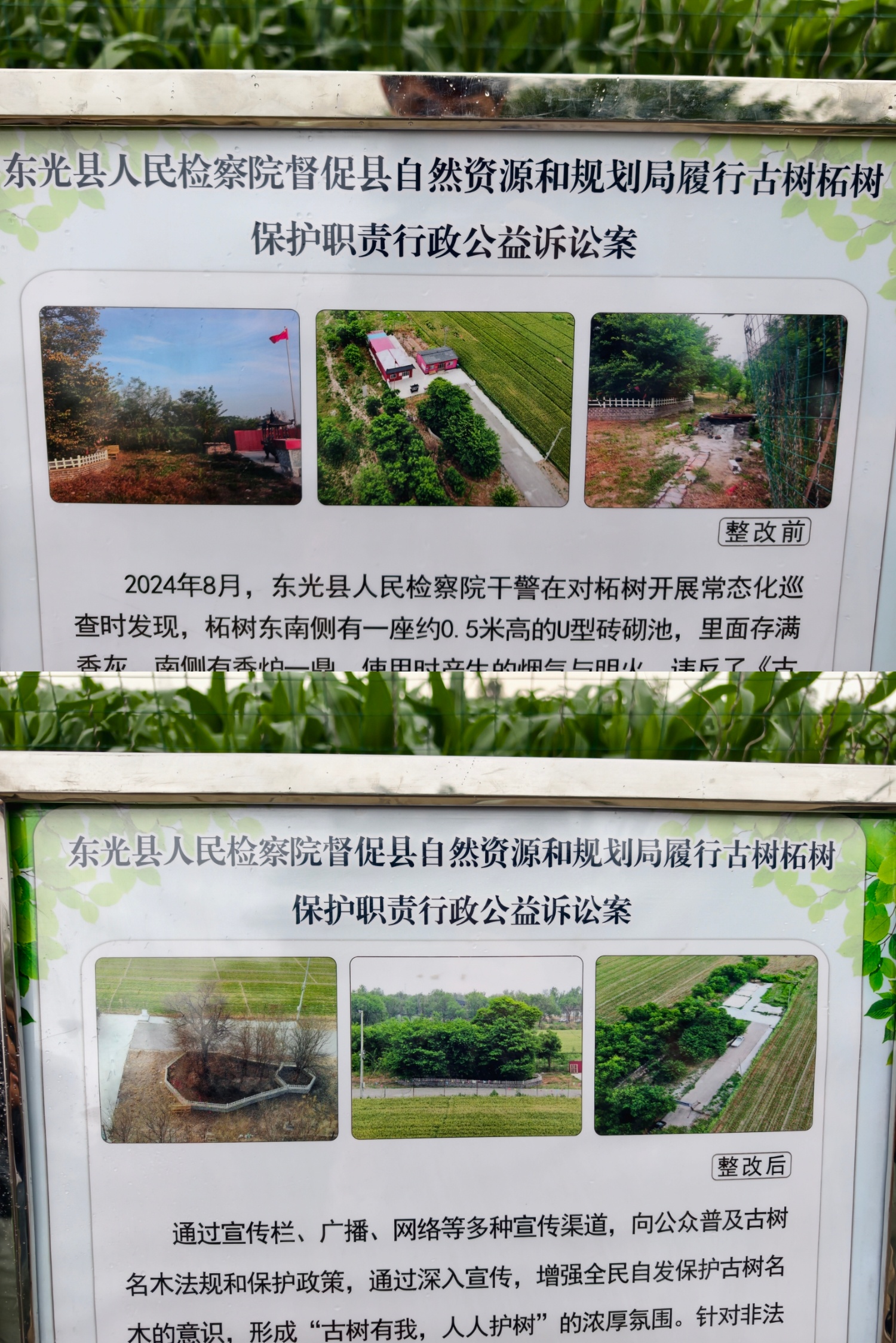 #新媒体走近一线检察##检护民生# 平时我看到一个600年的文物，都会很小心翼翼