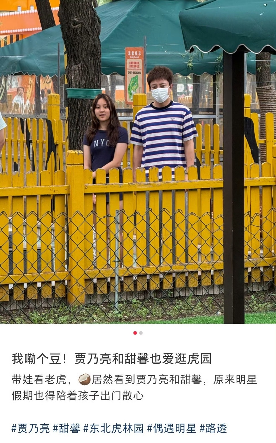 贾乃亮陪甜馨逛虎园不管是明星还是普通人都要陪娃去动物园，平凡日子里，陪伴才是最暖