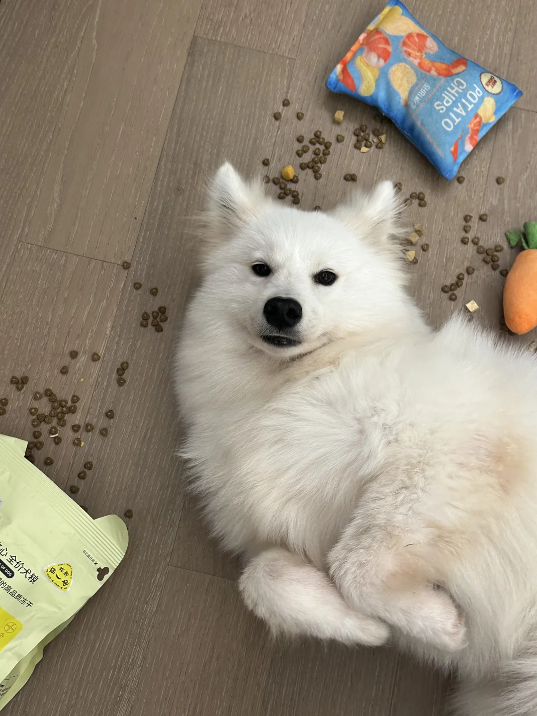 主人…请尽情喂饱我…