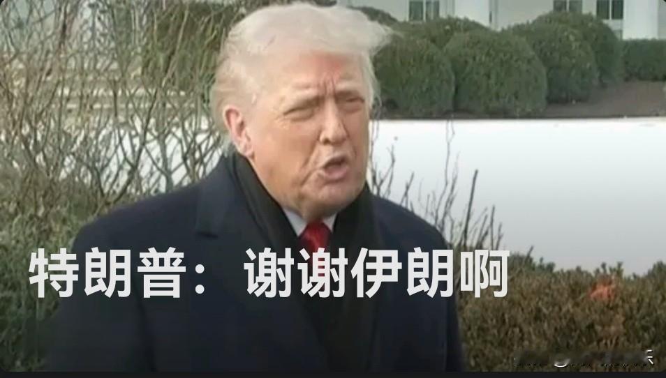 ‌特朗普罕见致谢伊朗 军事威胁后释放缓和信号‌

   据外媒报道在近期多次对伊