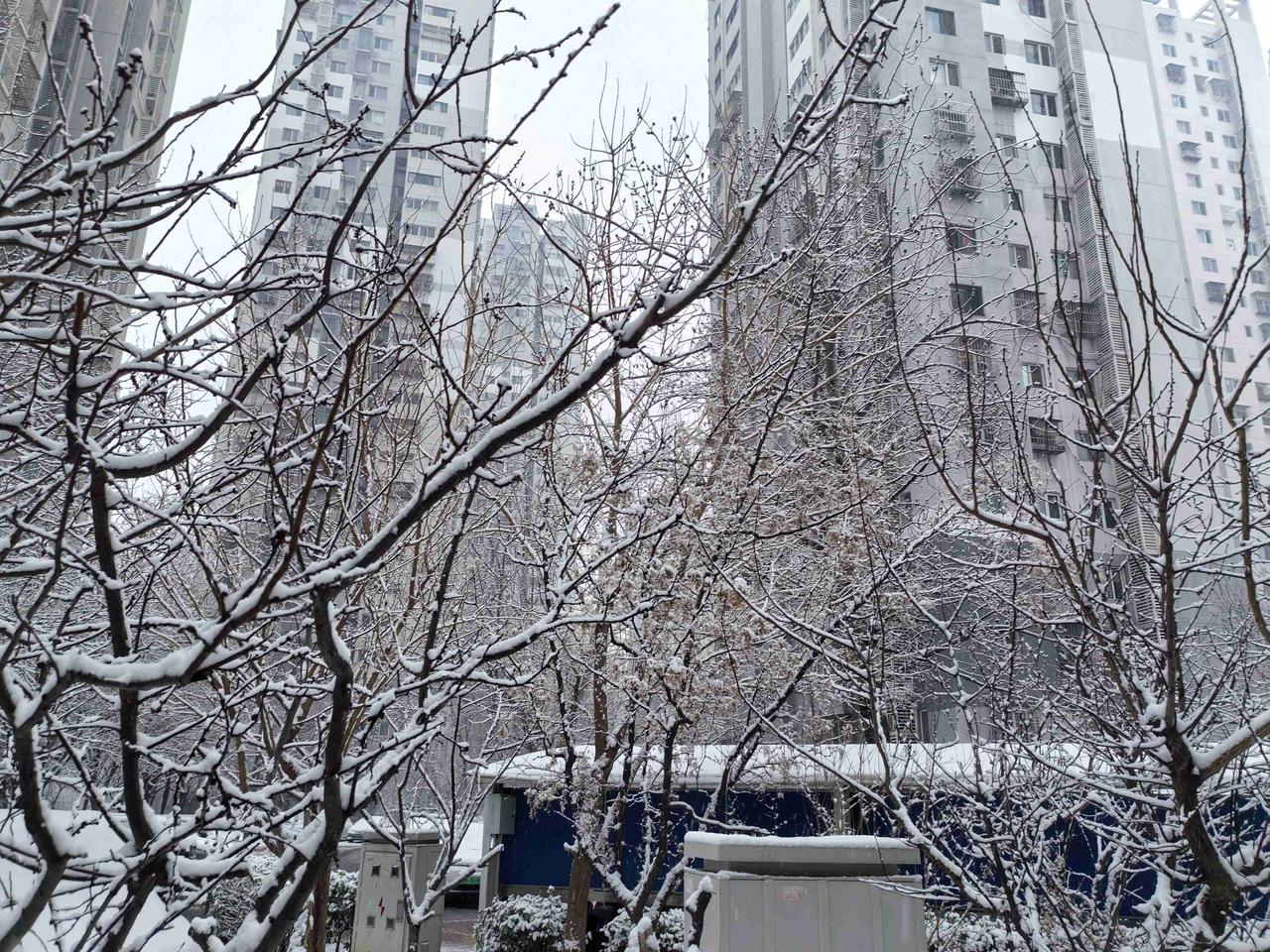 我的今日状态：💰期待暴富
我这里的天气：🌤️多云