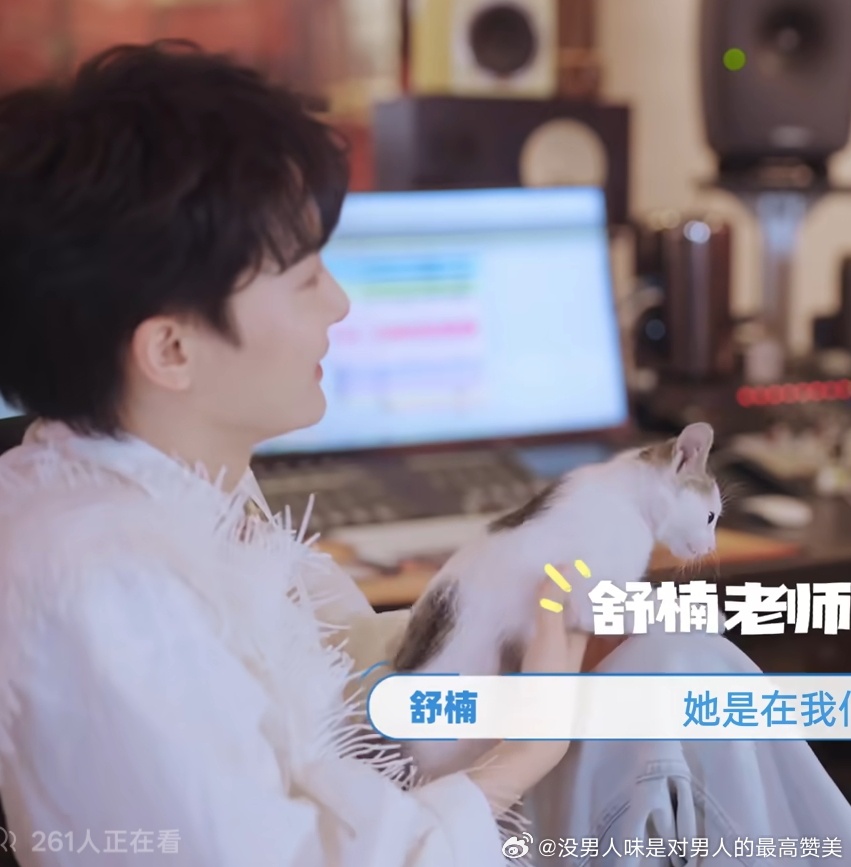 提问此图里一共有几只小猫 