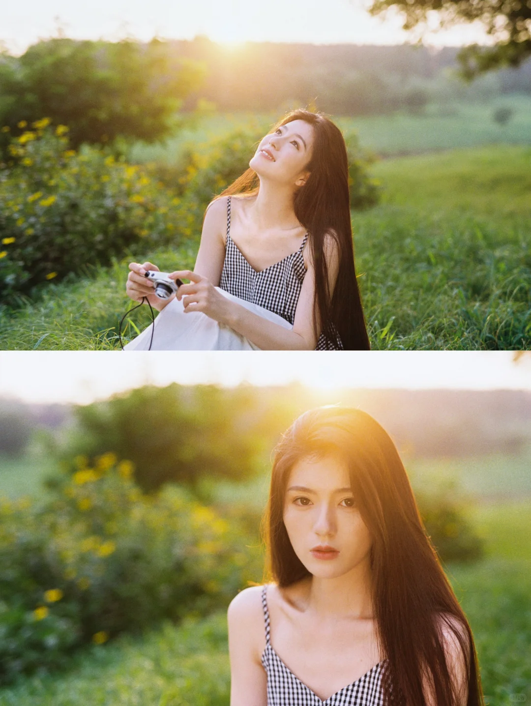 胶片机里的夏末🎞️夕阳和野花