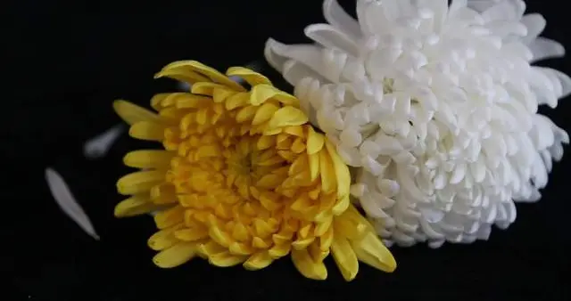 银华基金基金经理刘辉因病逝世，享年54岁