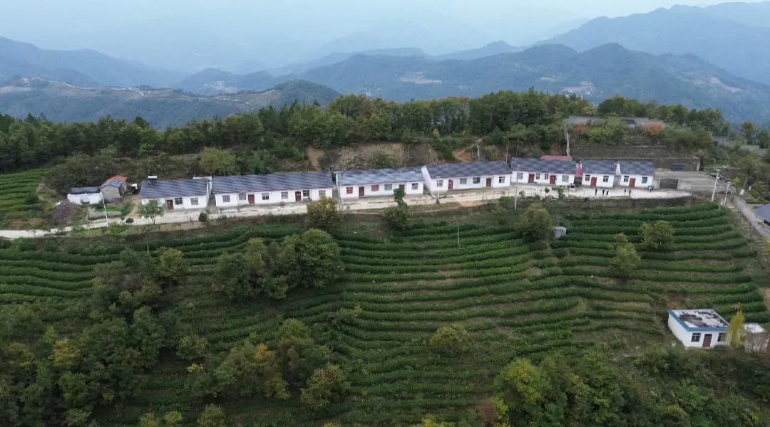 秋高气爽，友友们阔以趁周末去跑一跑哟，兴许你也能收货美丽的花花和蝴蝶呢！