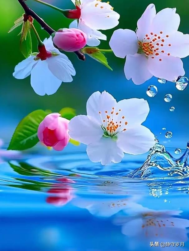 很多人以为幸福靠钱堆、靠地位撑，其实真不是！
 
哈佛研究了80多年，结论很直白