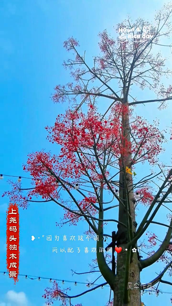 因为喜欢是个调，所以配了喜欢的图。因为喜欢这个调小，所以配了喜欢的图。因为喜欢这