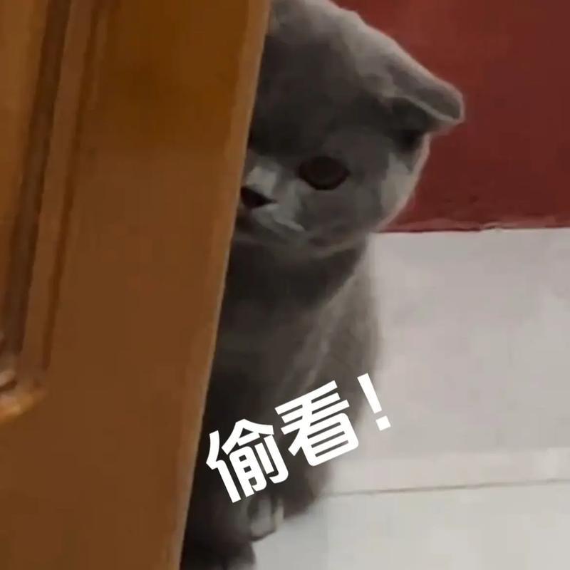 明朝循吏善断疑狱，苦熬三年才做上御史，仍不愿借机敛财

1539年，昆山知县杨逢