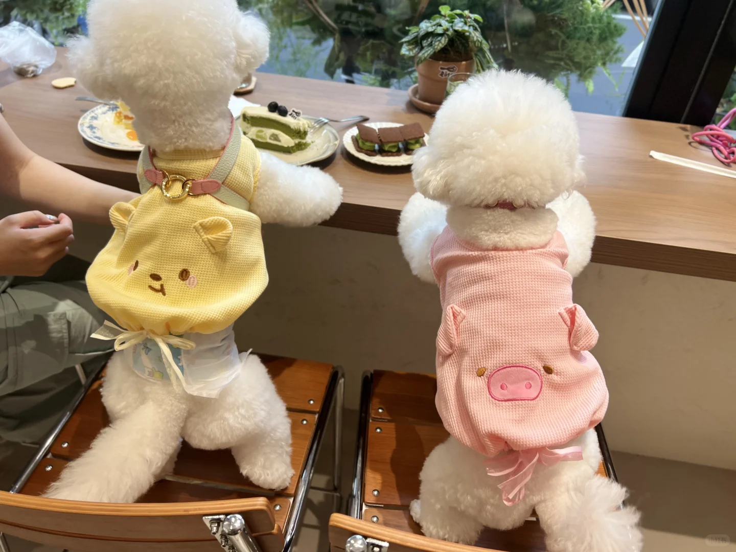 长这样可以走进你的心吗❤️